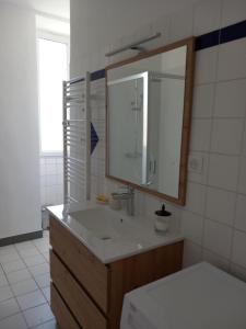 uma casa de banho com um lavatório e um espelho em Gîte "Chez elles" à Arnac-Pompadour em Arnac-Pompadour