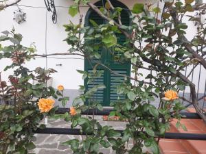 una finestra aperta con fiori d'arancio di fronte di La Villa a La Spezia