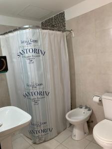 a bathroom with a white toilet and a shower curtain at Apart Ocampo Catamarca in San Fernando del Valle de Catamarca