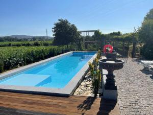 a swimming pool in a garden with a fountain at Azenha São Rafael in Ribeirão