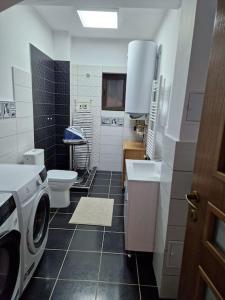 a bathroom with a toilet sink and a washing machine at Casă și curte confortabilă in Braşov