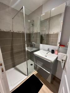 a bathroom with a shower and a sink at Studio cosy Kaysersberg centre in Kaysersberg