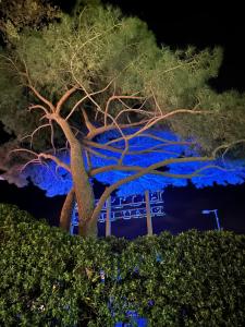 drzewo przed budynkiem z niebieskimi światłami w obiekcie Hôtel Beau Rivage w mieście Le Lavandou