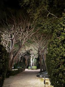 a row of trees with a car parked in a driveway at Hôtel Beau Rivage in Le Lavandou