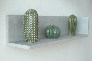 uno scaffale con tre cactus verdi di 爪ㄚ ㄥㄖ千ㄒ a Firenze
