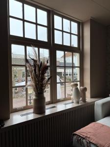 a window with a potted plant on a window sill at Bed bij Bistro in Medemblik