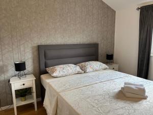 - une chambre avec un lit et 2 oreillers dans l'établissement Apartmani Lozić, à Baška Voda