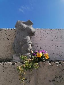 a bunch of flowers in a planter on a wall at No 12 B&B in Dungarvan