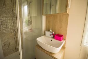 Koupelna v ubytování Beautiful Caravan With Decking At Breydon Water Holiday Park Ref 10028cw