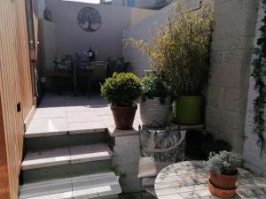 a set of stairs with potted plants on them at No 12 B&B in Dungarvan