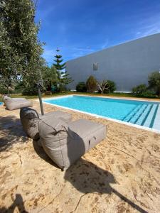 a sculpture of a turtle sitting next to a swimming pool at Sirene Villas in Diakofti