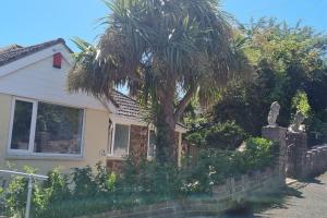 a palm tree in front of a house at 3 Bedroom Bungalow with great Sea Views, Private Hot Tub & Gardens in Paignton