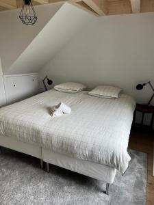 un gato blanco sobre una cama en Maison de Village 296-4 en Duingt