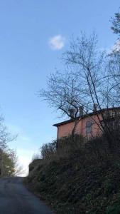 une maison sur le côté d'une colline à côté d'une route dans l'établissement APPARTAMENTO POGGIGRILLi, à Pievepelago