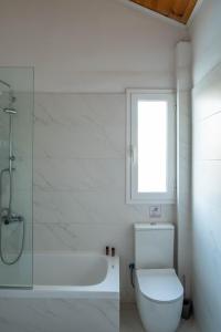 a bathroom with a toilet and a bath tub at Villa Meltemi in Daratso