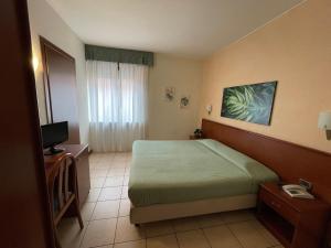 a hotel room with a bed and a television at Hotel Virginia in Garda