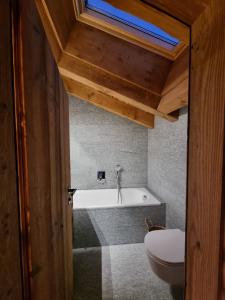 a bathroom with a toilet and a bath tub at Chalet Mouflon in Hérémence +19 photos