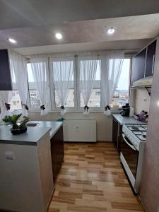 uma cozinha com janelas grandes e uma cozinha com pisos em madeira em Apartament Raul em Sânmartin
