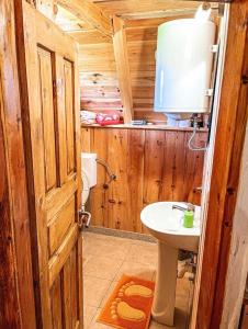 ein Bad mit einem Waschbecken und einem WC in einer Hütte in der Unterkunft Cottage Bumblebee in Žabljak
