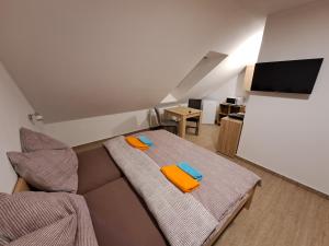 Televízia a/alebo spoločenská miestnosť v ubytovaní Apartmány Adieu 2
