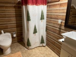 a bathroom with a shower curtain with christmas trees on it at Casa Sra Oti in Puerto Montt