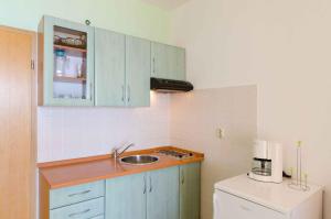 Kuchyňa alebo kuchynka v ubytovaní One-Bedroom Apartment Crikvenica 6