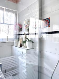 uma cabina de duche em vidro numa casa de banho com um vaso de plantas em Casa Rehman em Ratzeburg