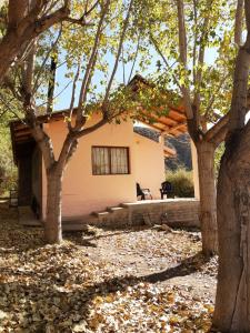 een huis met bomen ervoor bij Lo de Quebu Cabaña en la Montaña in Potrerillos