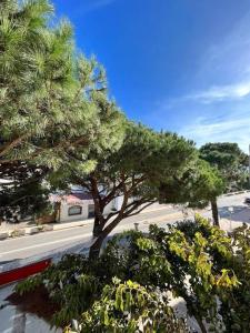 Zahrada ubytování Joli studio Calvi 50m plage