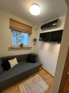 a living room with a couch and a window at Apartament Baryłka in Kazimierz Dolny