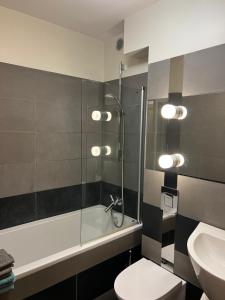 a bathroom with a shower and a toilet and a sink at Apartament Baryłka in Kazimierz Dolny