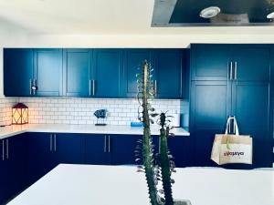 a kitchen with blue cabinets and a cactus at The Blue House in Larnaka