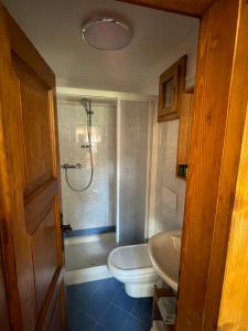 a bathroom with a toilet and a sink and a shower at La Roncolina in Cortina dʼAmpezzo