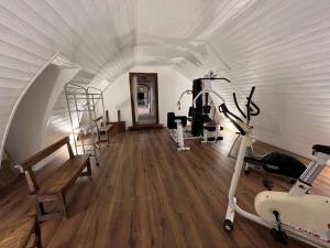 Posilňovňa alebo fitness centrum v ubytovaní Les Distinguées -Aux Bories de Prévinquières + 9 fotografií