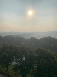 einen Blick auf einen Wald mit der Sonne am Himmel in der Unterkunft Căn hộ Vip siêu rộng, siêu sang, giá tốt chung cư Celadon, ngay Aeon Tân Phú in Ho-Chi-Minh-Stadt