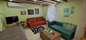 - un salon avec un canapé et une télévision dans l'établissement Alexanderland, à Pélla