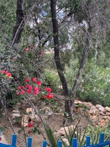 ロードスにあるVilla Bellinaのギャラリーの写真