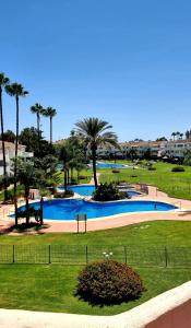a large swimming pool with palm trees in a park at Mijas Holiday in Fuengirola