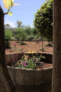 A garden outside Evanthea Residence