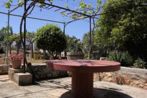 A garden outside Evanthea Residence