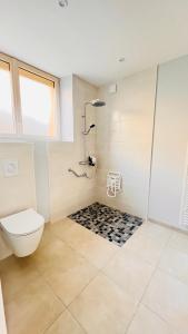 La salle de bains est pourvue d'une douche et de toilettes. dans l'établissement Au Petit Vivoin, à Vivoin