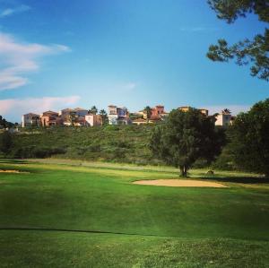 um campo de golfe com uma árvore num campo verde em Terrasse du golf em Béziers