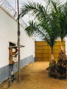 a palm tree in front of a garage at Chez Catherine et Gabriel in Bangui