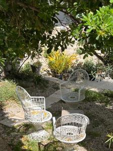 drie witte stoelen op de grond onder een boom bij Maison Douce Arles in Arles