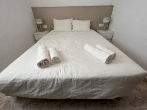 Postel nebo postele na pokoji v ubytování La Carmeta Apartament