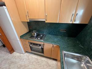 Kuchyň nebo kuchyňský kout v ubytování La Carmeta Apartament