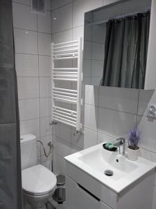 La salle de bains blanche est pourvue de toilettes et d'un lavabo. dans l'établissement Apartamenty Wiejska 126, à Sosnowiec