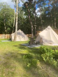 Zahrada ubytování GLAMPING SIELSKIHEL