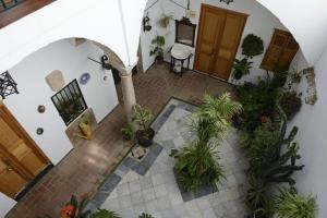une vue de tête sur un couloir avec des plantes en pot dans l'établissement Casa Rural Las Cadenas del Cananeo, à Arcos de la Frontera