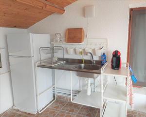 een keuken met een wastafel en een koelkast bij Villa Sofia in Chernomorets